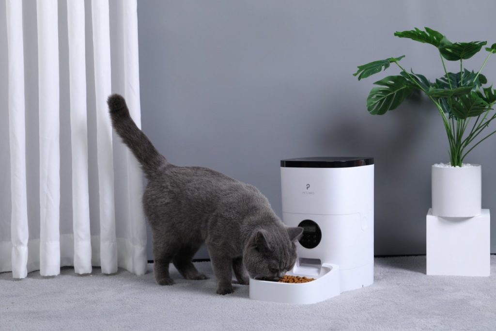 Petlibro Review - In-Depth Review of Petlibro Automatic Pet Feeders and Water Fountains